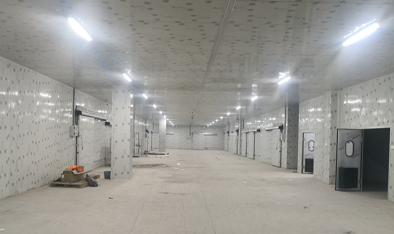 welcome海洋之神(集团)有限公司